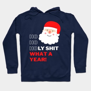 Ho Ho Holy Shit What a Year - Swearing Santa Hoodie